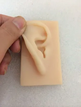 1: 1 szimuláció szilikon fül modell dobhártya típus akupunktúra fül modell